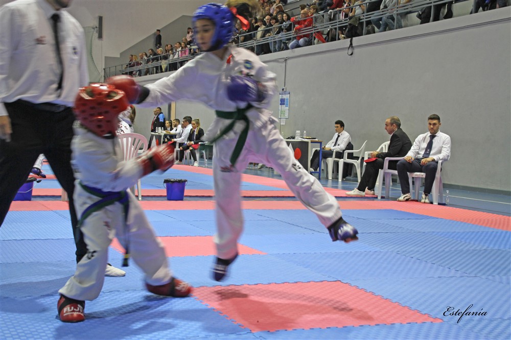 Copa Seul 2018 (482).jpg